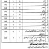 Health Department DHQ Hospital Sheikhupura Jobs 2025 Advertisement