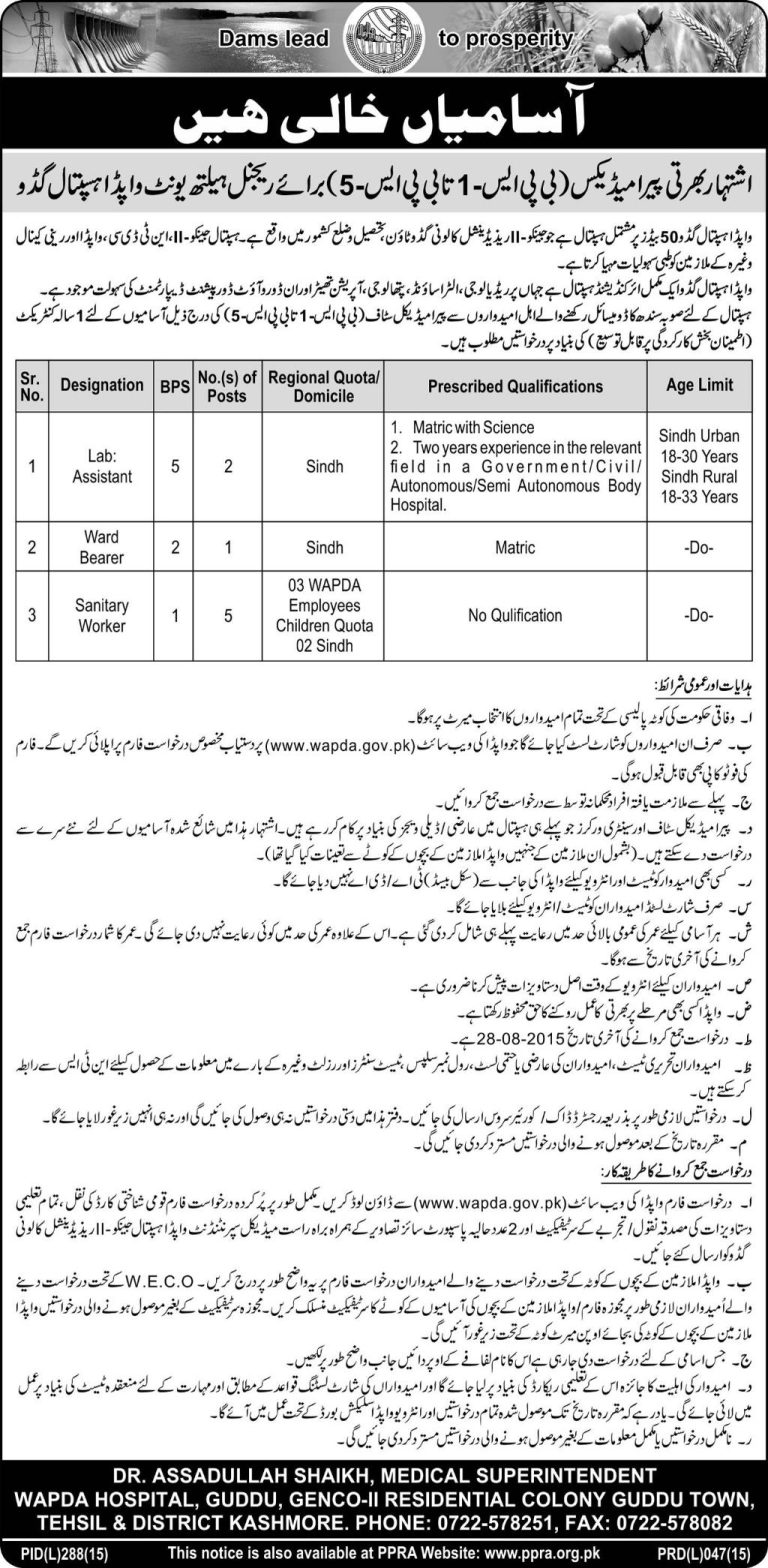 WAPDA Hospital GUDDU Paramedical Staff Jobs 2025 Advertisement Form