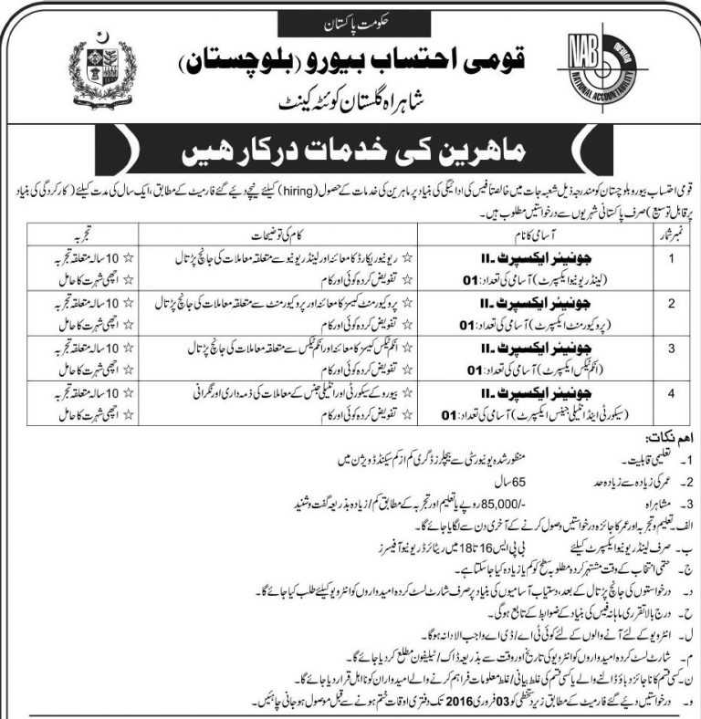 NAB Balochistan Junior Expert Jobs 2025 January Application Form Download Advertisement