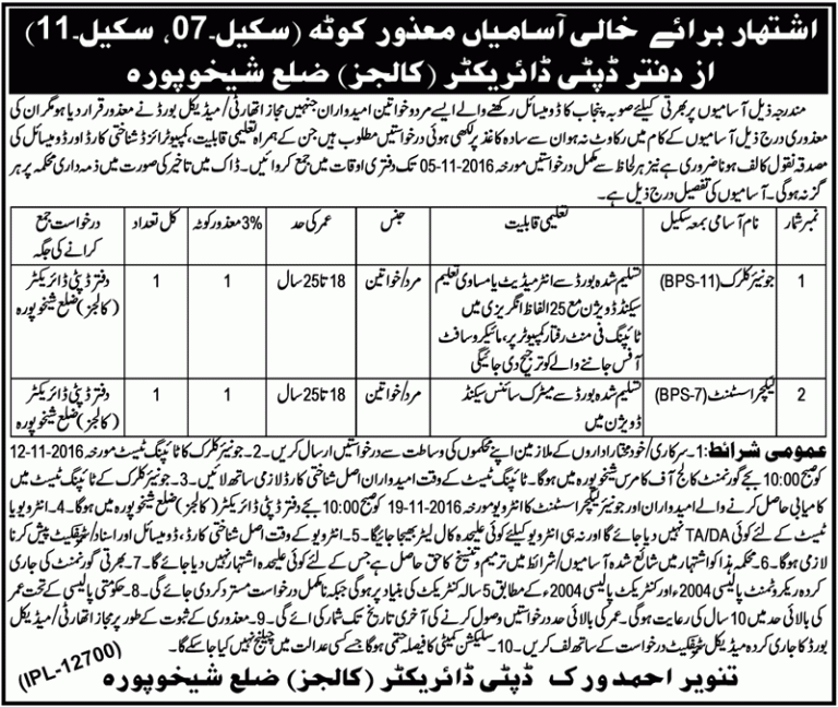 Disabled Person Jobs 2025 For Male, Female In Punjab Advertisements Form
