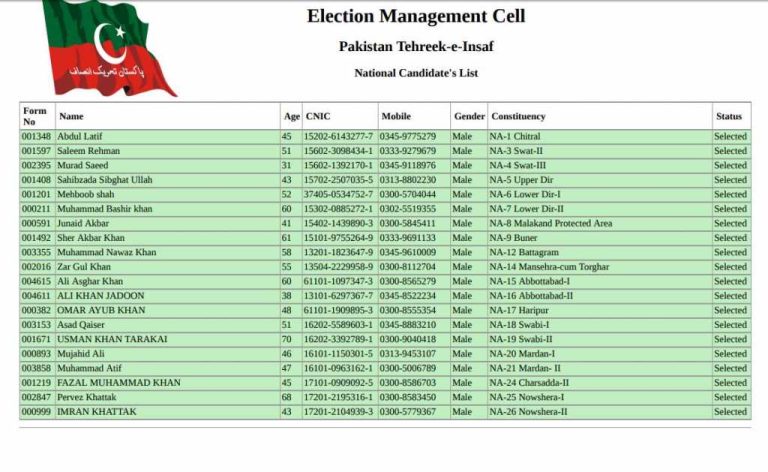 PTI Punjab Baldiyati Election Ticket Holders 2025 Final Candidates List