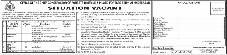 Sindh Forest Department Hyderabad Jobs 2025 Advertisement